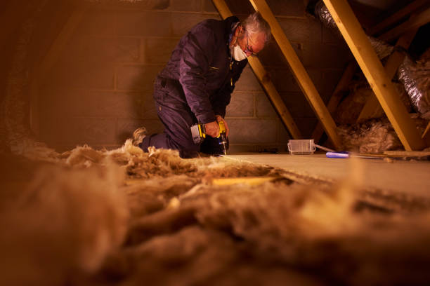 Best Insulation Maintenance and Repair in Nelsonville, OH