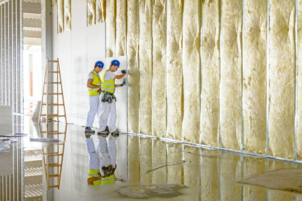 Best Insulation Maintenance and Repair in Nelsonville, OH